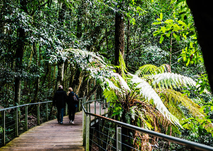Things to Do in Sydney This Summer